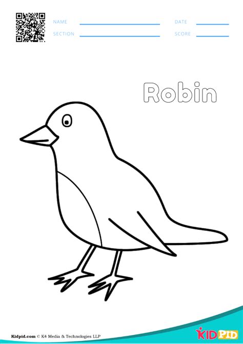 We did not find results for: Bird Coloring Pages for Preschoolers - Free Printables ...