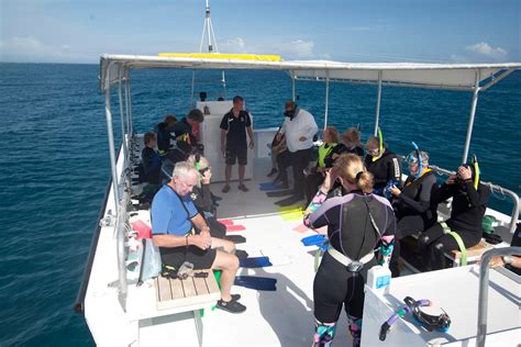 Great Barrier Reef Photo Gallery Sea For Yourself Snorkeling Safaris