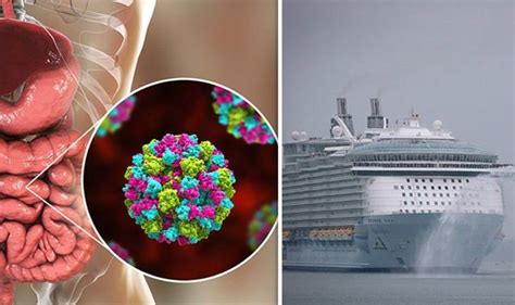 Norovirus Spread Norovirus Hits Huge Cruise Liner Sickness Disease Spreading Across Uk