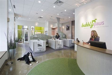 Imagine These Retail Store Interior Design Dog Spa Bubbly Paws