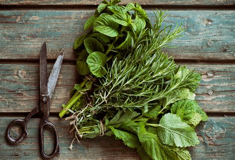 How to store fresh herbs | Easy Food