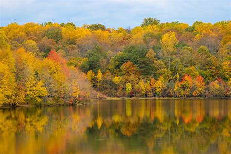 Mercer Lake Fall Color At Mercer Lake In Fairfax Station Flickr