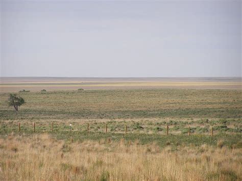 Top 10 Facts About The Great Plains Discover Walks Blog