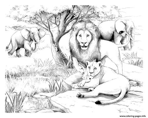 25 Best Ideas About Coloring On Pinterest Lion Coloring Pages Adult Images