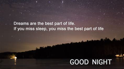 110 Best Good Night Quotes And Sayings List Bark