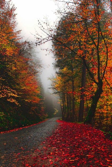 Updating cool whatsapp status is now one of the most addicted activity. Beautiful Rain Wallpapers for Cool WhatsApp Status and ...