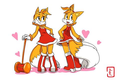 Rule 63 Sonic Tails Furry Art Character Design Sonic Fan Art
