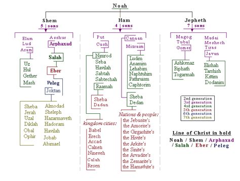 Noahs Genealogy