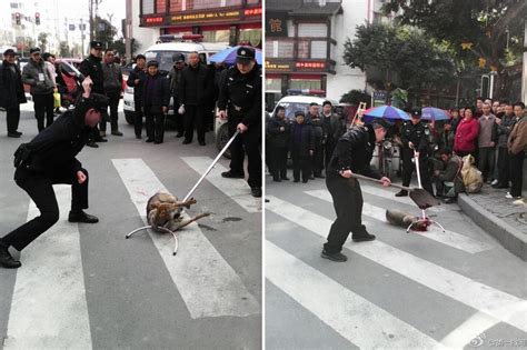 Sickening Photos Show Chinese Cops Beating A Beggars Dog