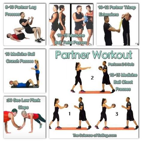 Partner Workout Fitness Workouts Buddy Workouts Easy Workouts