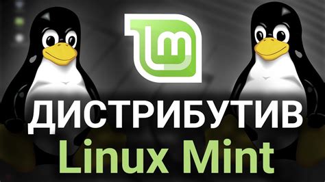 Linux Mint Обзор и первые шаги в дистрибутиве Linux Youtube