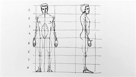 Cómo Aprender A Dibujar La Figura Humana Y Sus Proporciones