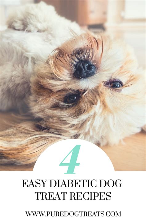 If your dog has diabetes, you may want to try learning how to make homemade diabetic dog food so you can control the ingredients. Diabetic Dog Treats, The Safest Homemade Recipes | Diabetic dog, Diabetic dog treat recipe ...