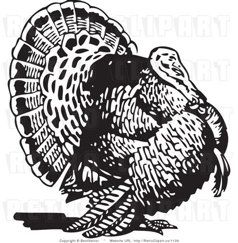 Download High Quality Turkey Clipart Black And White Realistic