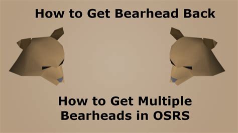 How To Get Bearhead Back How To Get Multiple Bearheads In Osrs Youtube