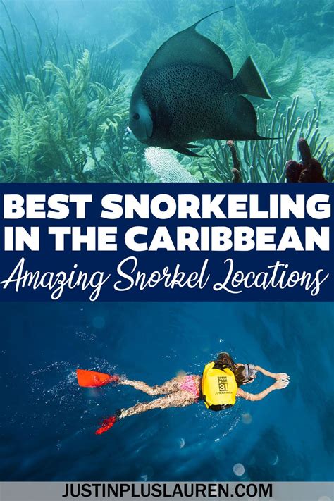 Best Snorkeling In The Caribbean Where You Wont Believe Your Eyes