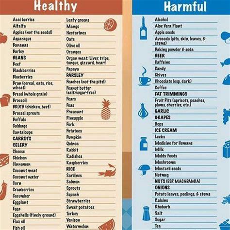 If you have requests for new foods to be added to the list, please comment below. What Can Dogs Eat List | Dog safe food, Human food for ...