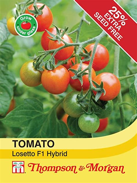 Thompson And Morgan Vegetables Tomato Losetto F1 Hybrid 6 Seed