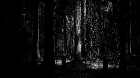 Download Dark Woods Hd Wallpaper By Kthompson Dark Woods