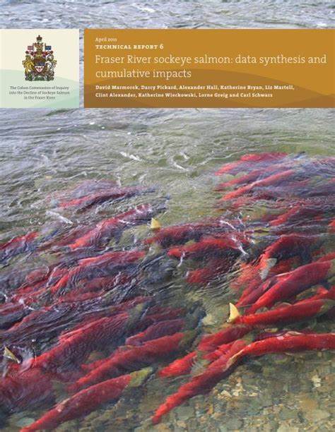 Fraser River Sockeye Salmon Data Synthesis And Cumulative Impacts
