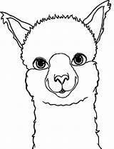 Llama Coloring Pages Llamas Cute Printable Lamas Little Wonder sketch template
