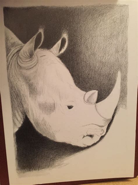 Rhino Drawing In Pencil On Behance