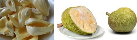 Mature Jackfruit Raw Jack Fruit Pacha Chakka Healthyliving From