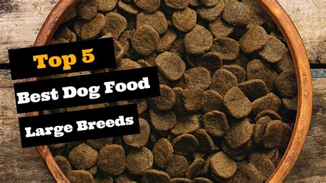 Best Dog Food For Large Breeds Top 5 Large Breed Dog Foods Youtube
