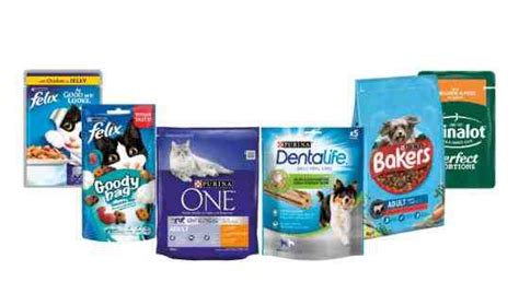 Best 5 Ways How To Moisten Dry Cat Food Perfect Cat Food