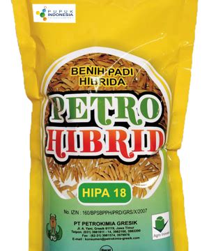 Benih Padi Hibrida Petro Hibrid Hipa 18 | WA 081214947225