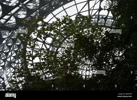 Rainforest Greenhouse Dome In Taichungs Botanical Garden Stock Photo
