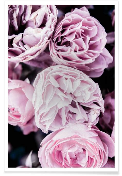 Pink Flowers II Poster JUNIQE