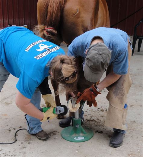 Mustang Dreams Trimming Hooves With An Angle Grinder