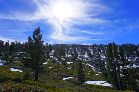 San Bernardino Peak La Trail Hikers