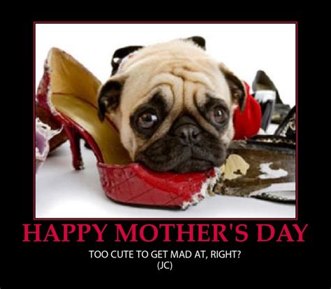 Quotes about animal mothers 18 quotes. HAPPY MOTHERS DAY QUOTES FUNNY image quotes at relatably.com