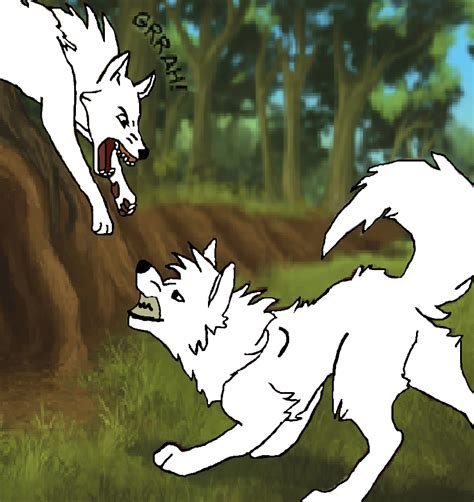 Wolf Fight Lineart By Evalee2002 On Deviantart