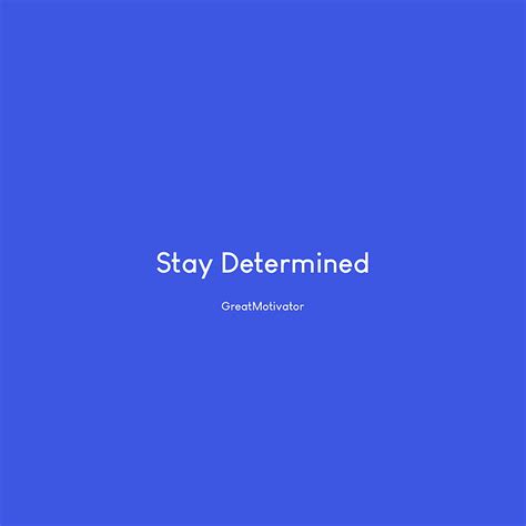 Stay Determined Determination Determine Motivational Quote Hd