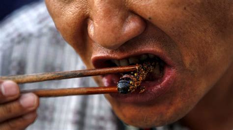 Reasons Why You Should Eat Insects Health Gadgetsng