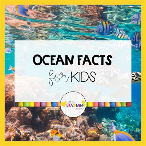 50 Fun Ocean Facts For Kids Little Learning Corner