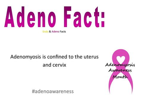 Pin On Adenomyosis Facts
