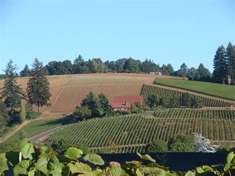 Yamhill Valley If You Love Wine You Will Be In Heaven