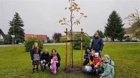 Hoyerswerda Bäume In Michalken Und Wittichenau Gepflanzt Sächsischede