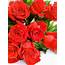 Red Roses  Fresh Rose Flowers Auckland Delivery