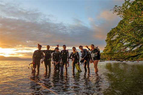 Padi Diving Coursesocean Ventures Fijinatewa Bay Savusavu Fiji
