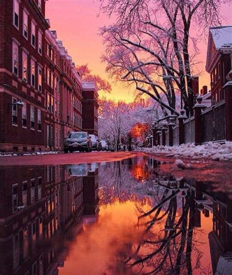 Beautiful Shot From Harvard University Boston Photograph By