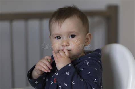 Medium Horizontal Shot Of Adorable Fair Toddler Girl With Inquisitive