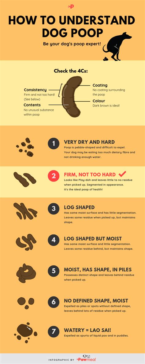 How To Understand Dog Poop With Stool Chart Infographic Pawmeal Sg