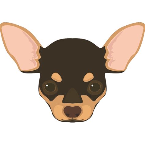 Chihuahua Png Vector Psd And Clipart With Transparent Background For