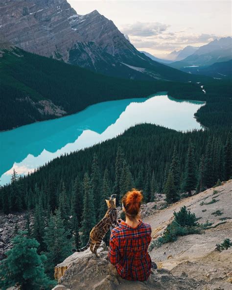 Bengals Breathtaking Photos Will Fill You With Travel Envy Adventure