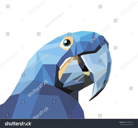 Colorful Parrot S Head Visual Identity In Low Polygon Style On White